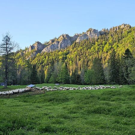 Apartamento Gosciniec Kuznice Zakopane Exterior foto